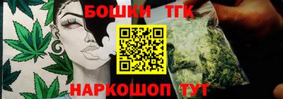 молекула духа Гатчина