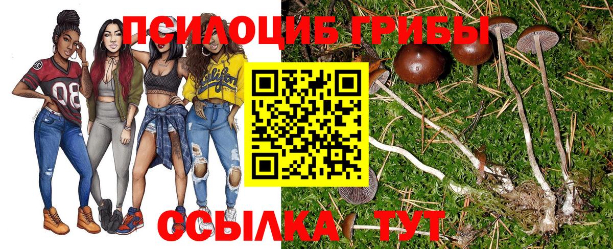 Галлюциногенные грибы прущие грибы  Вход с VPN  Десногорск 